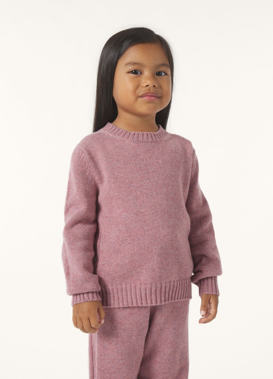 kinder parksville crewneck baby cashmere paarse chips melange