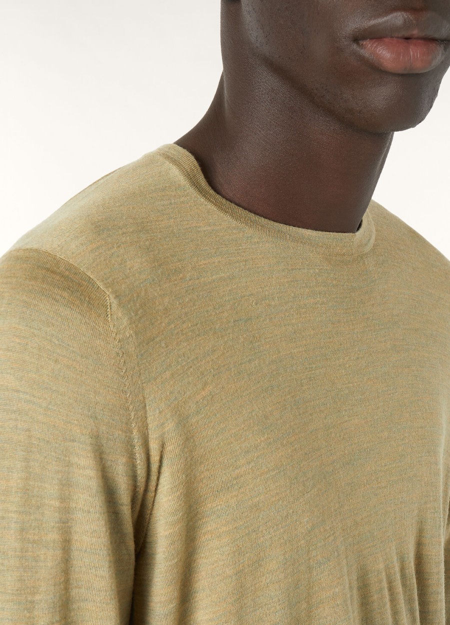 wish wollen t-shirt met ronde hals en gedroogde artemisia