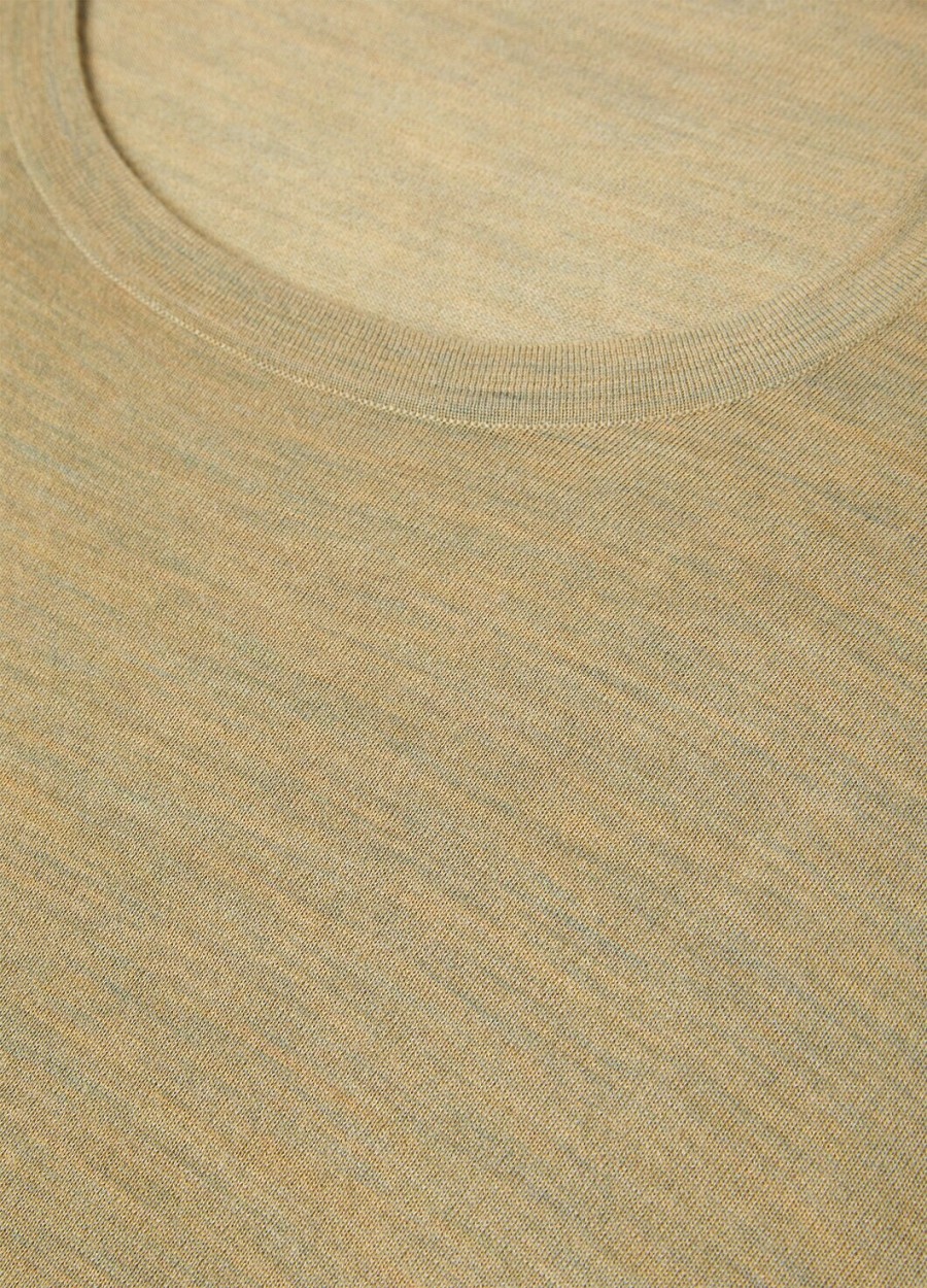 wish wollen t-shirt met ronde hals en gedroogde artemisia