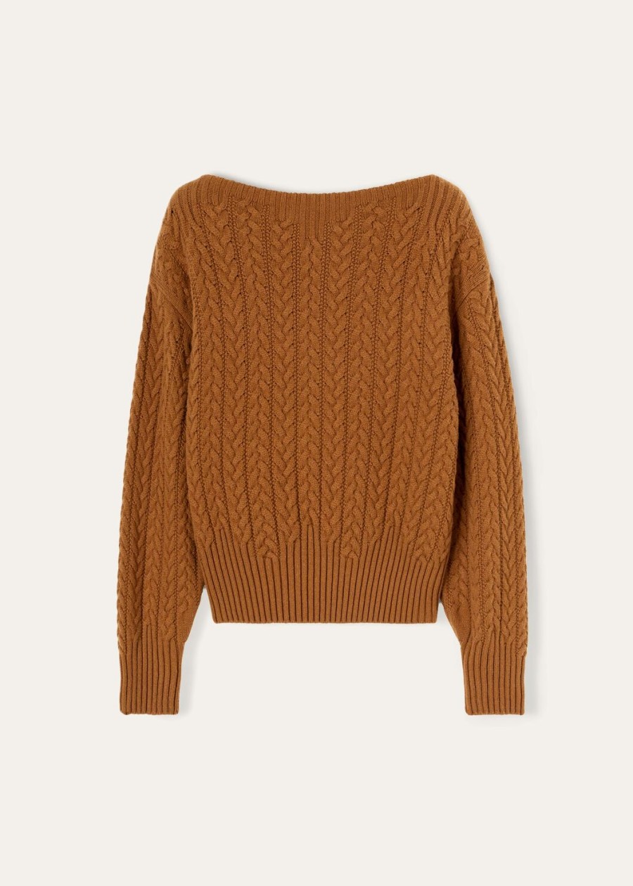 vicuña naturel donkere vicuña halstrui