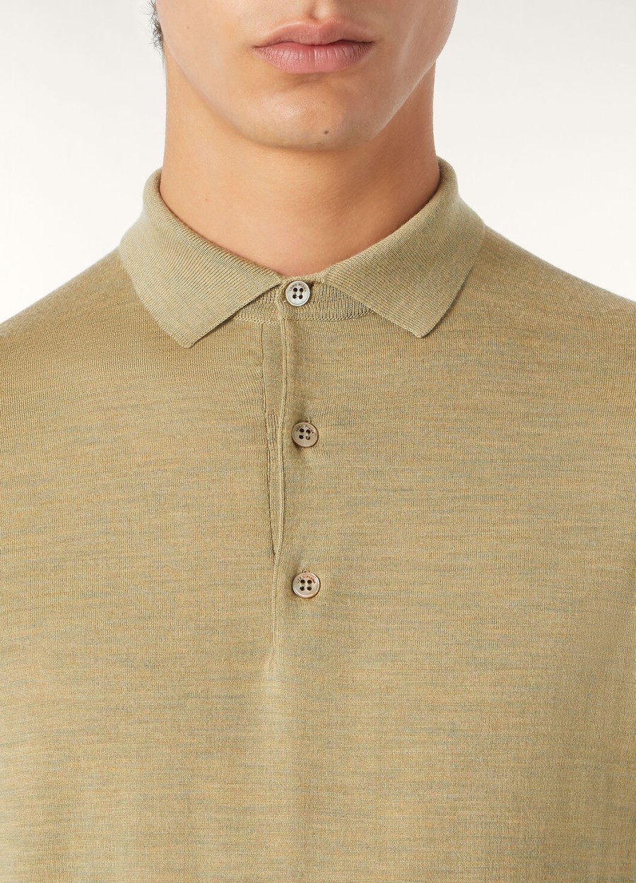 polo wish wollige gedroogde artemisia